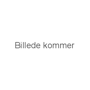 2-Takt